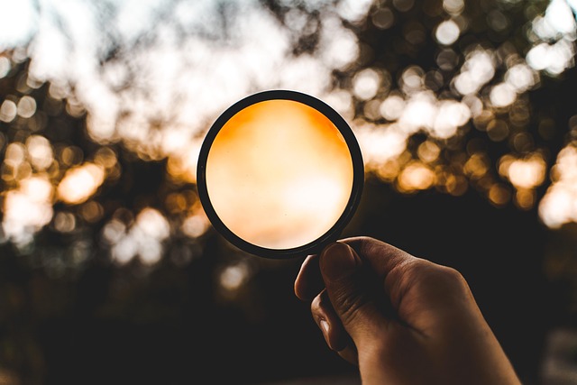 discover your purpose